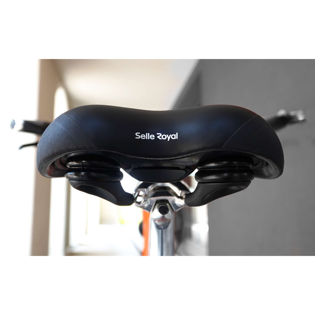 Zelle Royal Saddle "Lookin" Saddle Sr Lookin Modéré Black