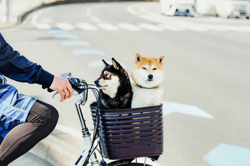 Paniers & Caisses vélo