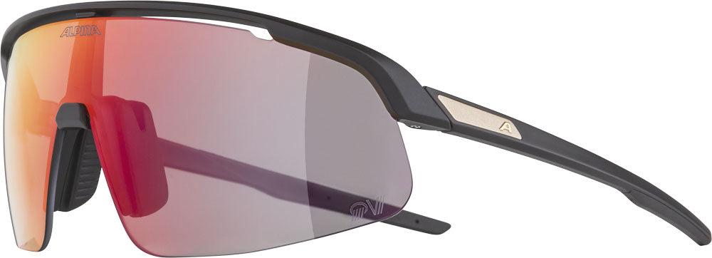 Alpina turbo pro s qv - lunettes de sport