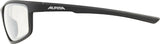 Alpina defey - lunettes de sport