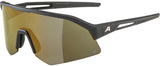 Alpina sonic hr q - lunettes de sport