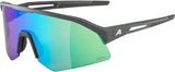 Alpina sonic hr q-lite - lunettes de sport