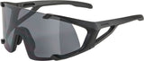 Alpina hawkeye - lunettes de sport