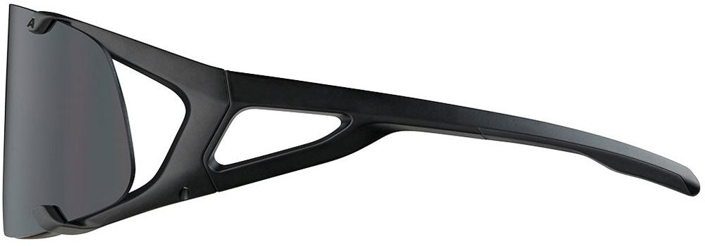 Alpina hawkeye s - lunettes de sport