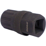 Edge Freewheeliever pour MF Campagnola