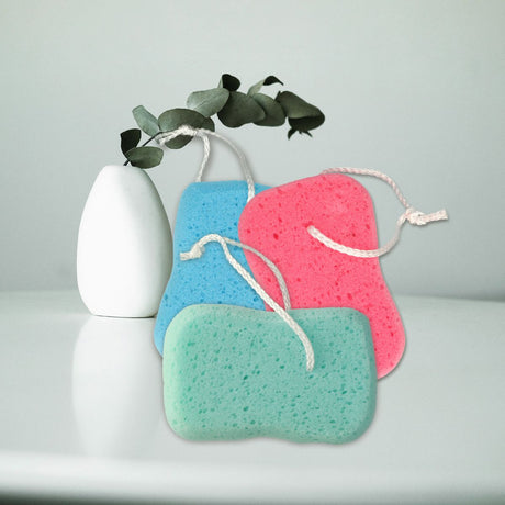 Éponge amusante pour le bain normale assortie