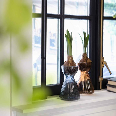Vase à bulbe design Esschert amaryllis côtelé
