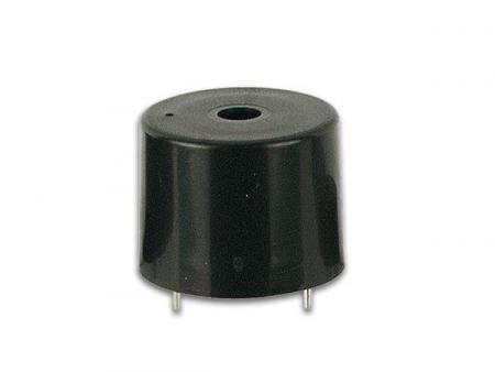 Buzzer