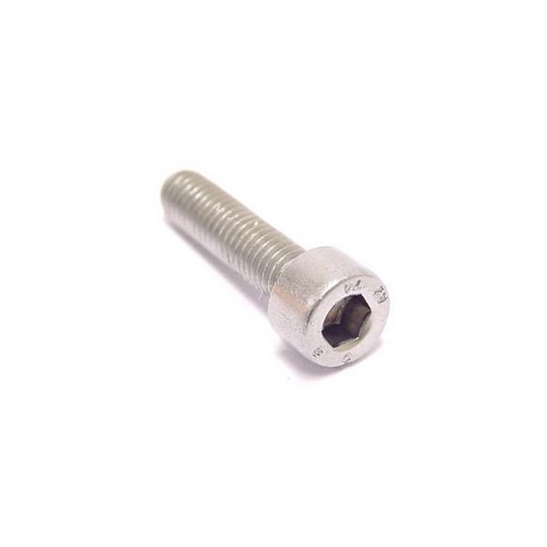 Bofix Allenbout M5 x 30 en acier inoxydable (25 pièces)