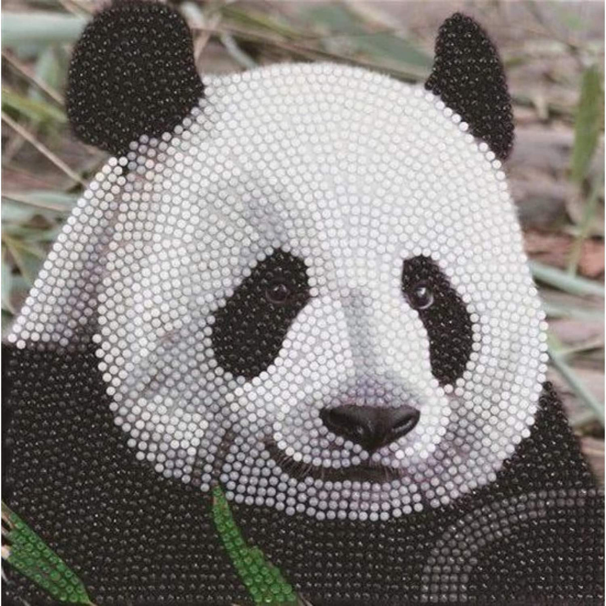 Unité de marque peinture diamant - carte panda géant