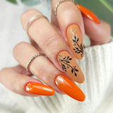Claresa Vernis Gel UV LED 5 ml Stay Cosy 3