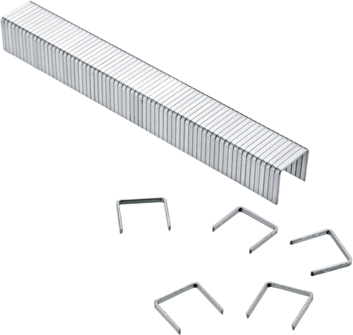 Agrafes Connex b com500114 200 8mm 1000pcs - com501208
