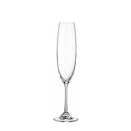 Crystal bohemia champagneglas milvus 250ml 6 stuks