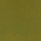 Cosmic shimmer • matt chalk paint holy guacamole