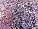 Cosmic shimmer • spangles purple magnolia duo set