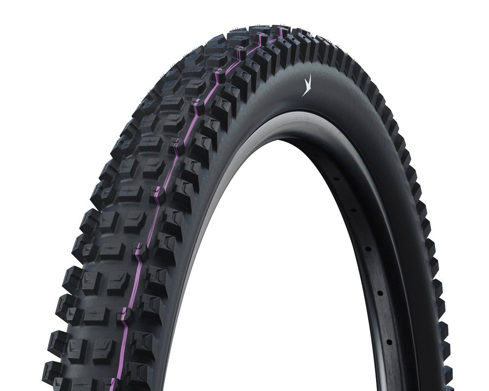 Schwalbe albert gravité pro - tlr - addix soft - radial - 29x2,50 - noir