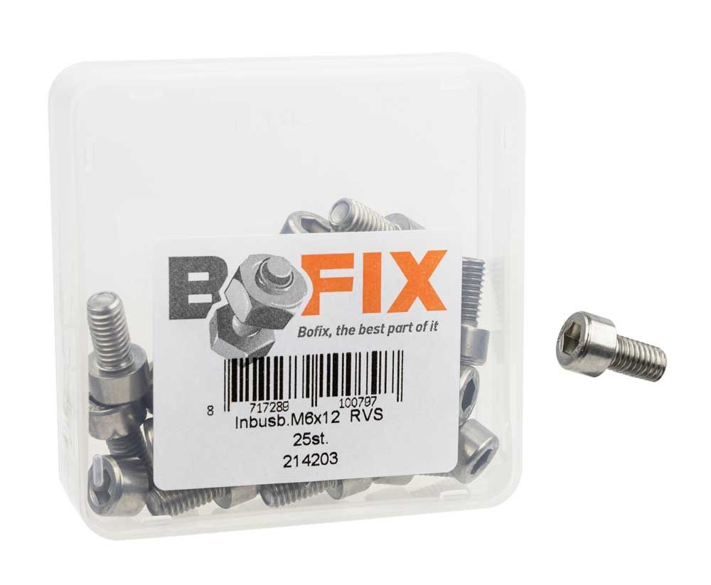 Allenbout M6X12 en acier inoxydable par 25