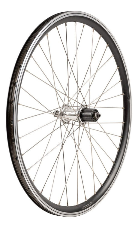 Roue arrière Roland 24x175 x-star