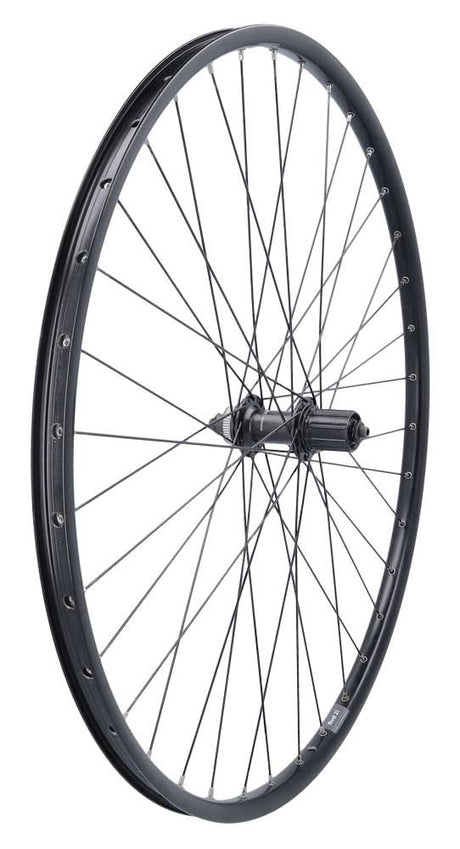 Roue arrière Roland ryde rival21 28 sh. fhm5100 36g qr noir