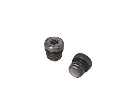 Boulon de purge Xlc remd sram 6mm m6x0.8mm brx127