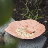 Darwi sans marque • béton d'argile à modeler 1kg