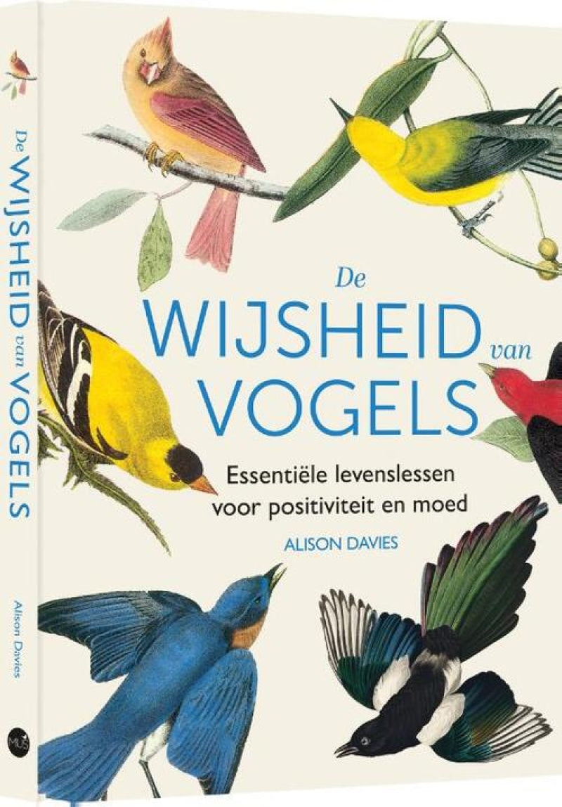 Moineau la sagesse des oiseaux
