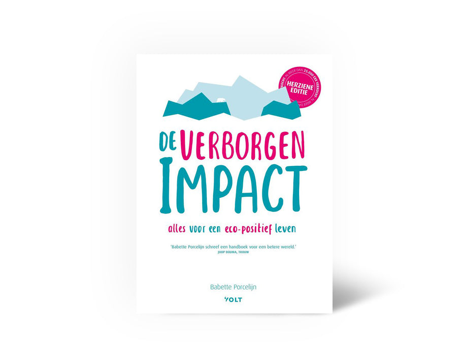 Boekhuis Book - De Hidden Impact