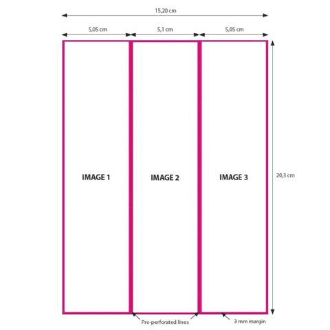 DNP paper 2 Roll � 200 St. 15x20 perforated on 5x20 and 10x20 cm for DS620