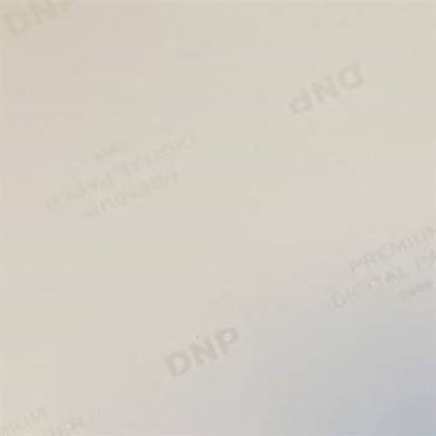 DNP Standardní papír DSRX1HS-4X6 2 Roll � 700 St. 10x15 pro DS-RX1HS