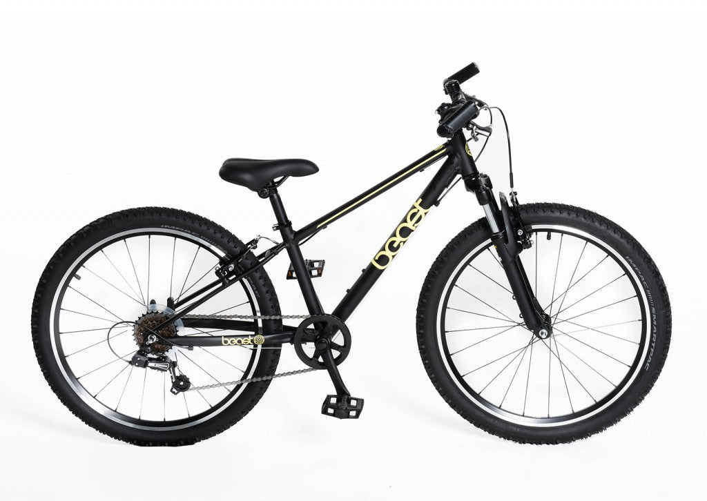 Bête vélo vélofun 24 le 6v