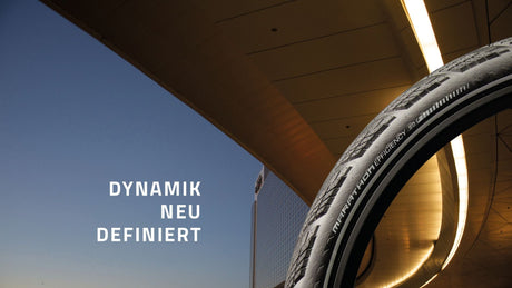 SCHWALBE TIRE 28-1.50 (40-622) Efficacité du marathon EVO ZW V R
