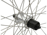 Roland achterwiel 26 19-559 atb alu. zac19 shimano rm40 cassette 8v qr rvs spaak