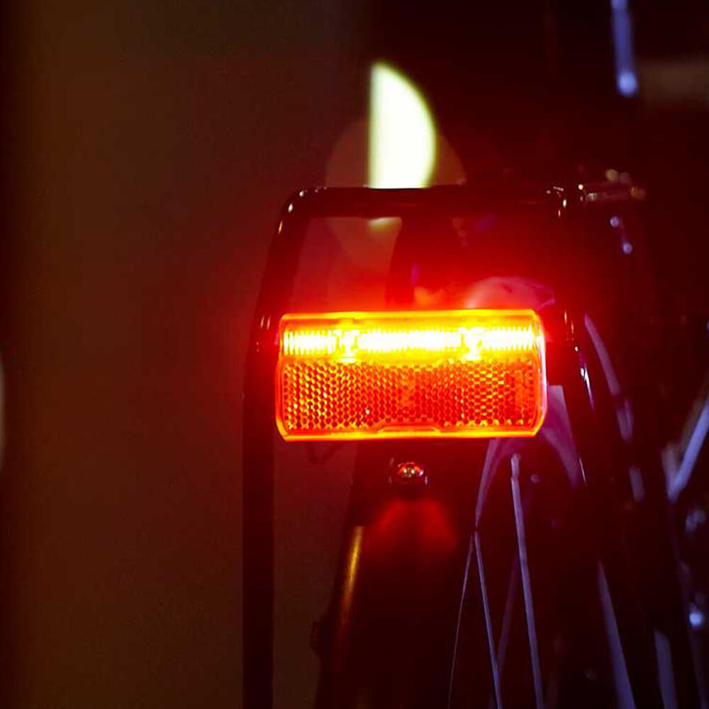 Carrier Light Busch Müller Toplight E Brex - Convient pour les bikes E