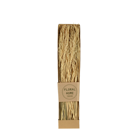 Droogbloemen lagurus 60cm bussel