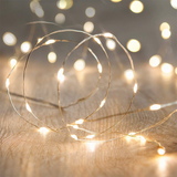 Duif lichtslinger led 30 leds 300cm
