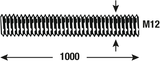 Connex tige filetée m12 1m vz - dy250705