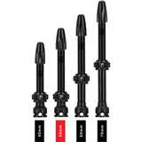 Trivio - valve tubeless noire fvt
