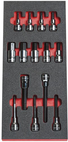 Module Facom douilles tournevis 1 2 6 pans - modm.shpb