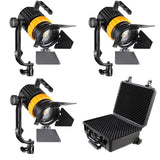 Falcon Eyes Bi-Color Mini LED FRESNnel Set P-5AD-K3