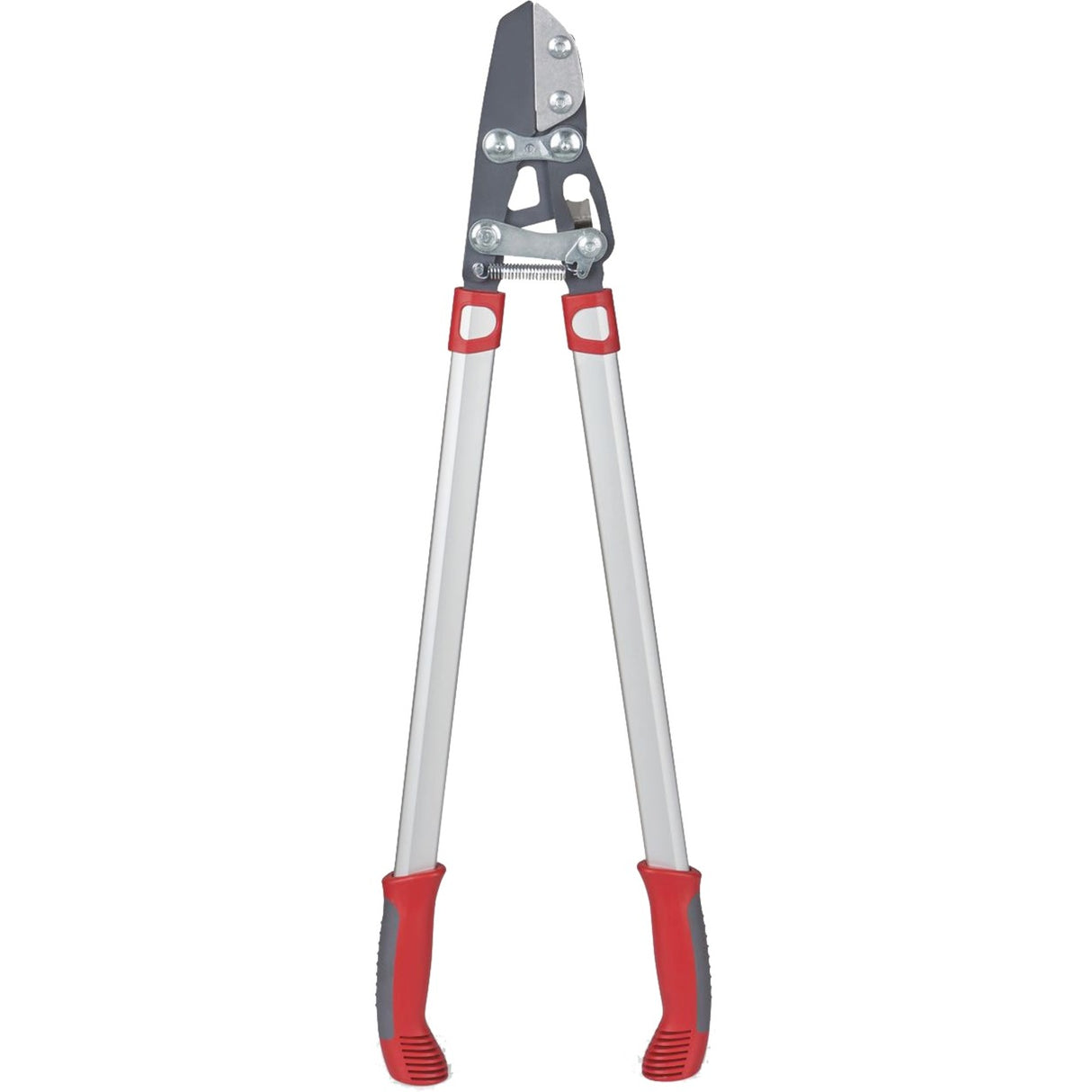 Wolf-Garten Cut Rs 800 V