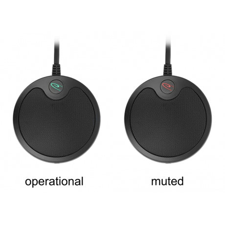 Delock Microphone à condensateur USB omnidirectionnel pour microphone de conférence (noir)