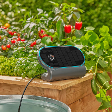 Ensemble aquabloom Gardena l