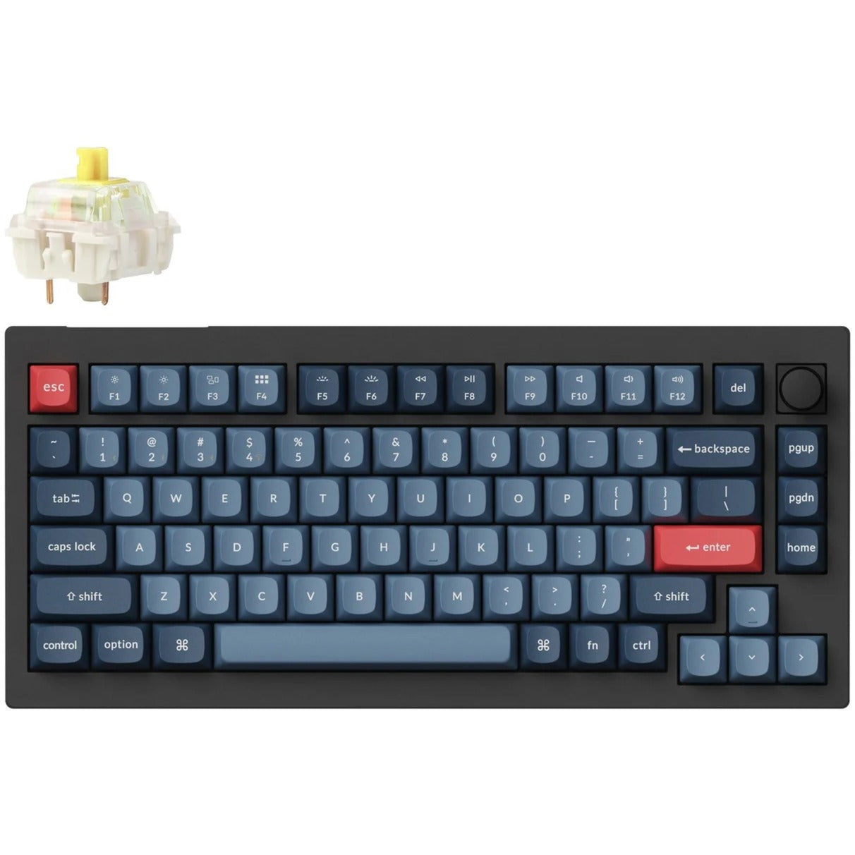 Clavier mécanique Keychron v1 max-d4 rgb (noir, disposition américaine (qwerty), banane gateron jupiter, 75%, leds rgb, pbt double-shot, échange à chaud, 2,4 ghz | bluetooth | usb-c, bouton)
