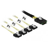 Dellock Mini SAS SFF-8087> 4x Sata 7 broches