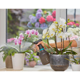 Vapeur de plante Gardena 1 l Easypump
