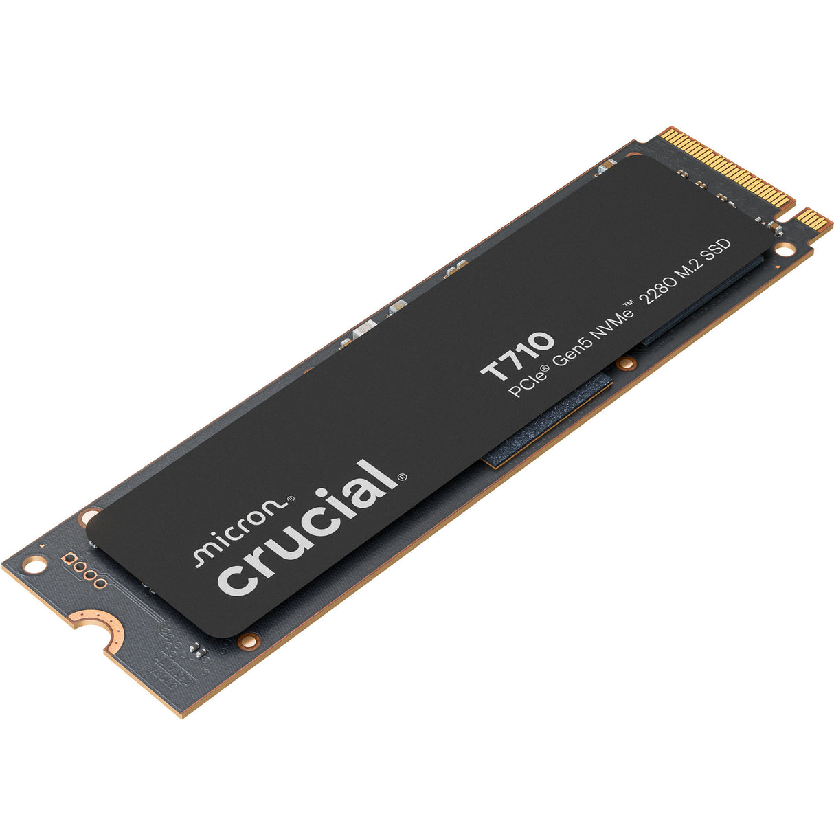 SSD Crucial T710 1 To (PCIe 5.0 x4, NVME 2.0, M.2 2280)