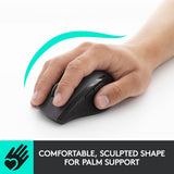 Souris Logitech 910-006034 noire