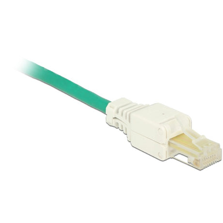 Delock fiche rj45 cat.5e utp fiche sans outil (blanc, 2 pièces)