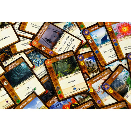 999games 999 games jeu de société Spirit Island (néerlandais, 1 - 4 joueurs, 90 minutes, à partir de 14 ans)