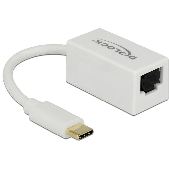 Delock superspeed USB-C (USB 3.1 gen 1) mâle > adaptateur compact Gigabit LAN 10 100 1000 mbps (blanc, 0,135 mètres)